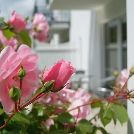 Im Haus Katharina 아파트 *