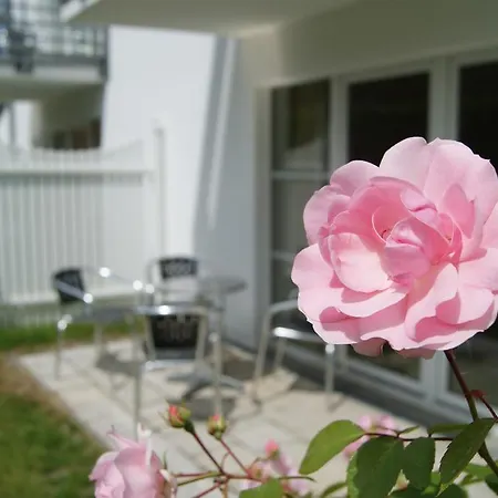 Im Haus Katharina * 라우터바흐