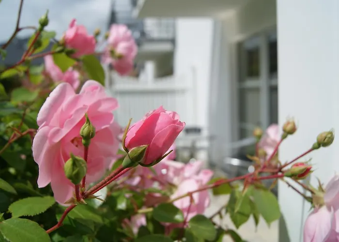 Im Haus Katharina Daire *